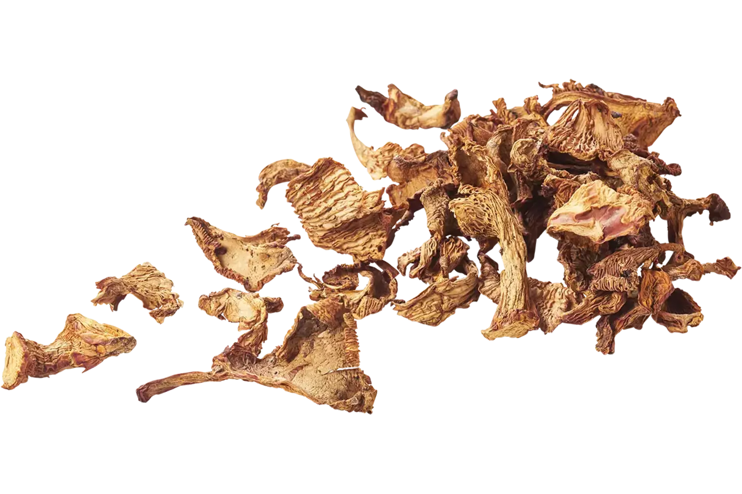 Girolles gedroogd 100gr stuk 1